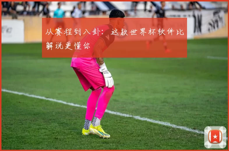 从赛程到八卦：这款世界杯软件比解说更懂你