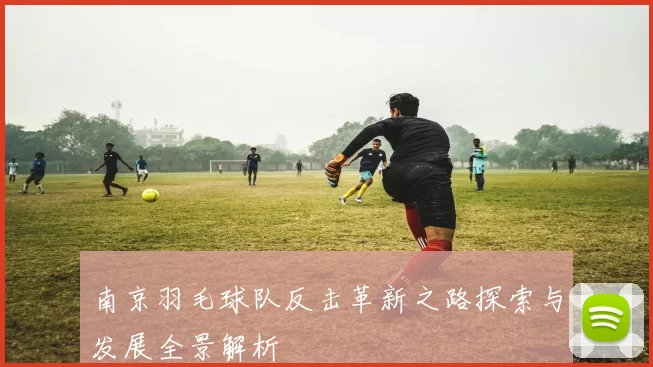 南京羽毛球队反击革新之路探索与发展全景解析