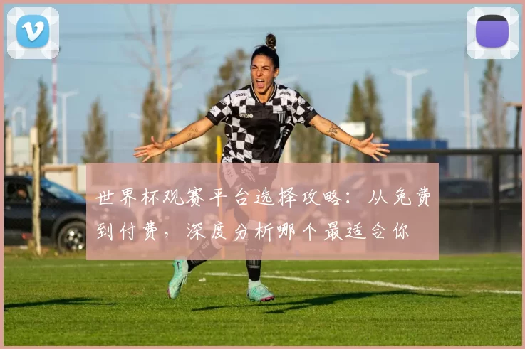 世界杯观赛平台选择攻略：从免费到付费，深度分析哪个最适合你