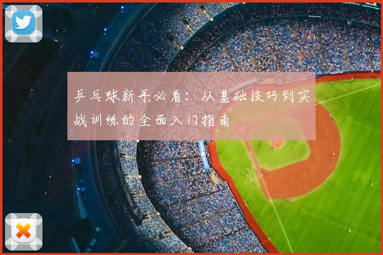 乒乓球新手必看:从基础技巧到实战训练的全面入门指南