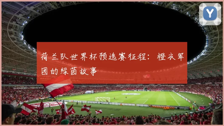 荷兰队世界杯预选赛征程:橙衣军团的绿茵故事