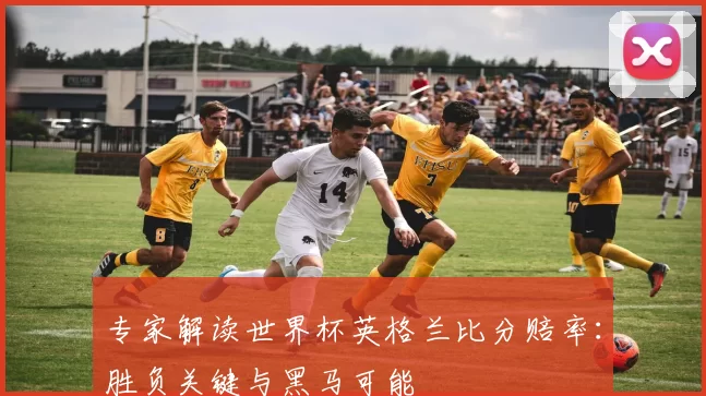 专家解读世界杯英格兰比分赔率:胜负关键与黑马可能
