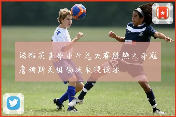 诺维茨基率小牛总决赛胜热火夺冠詹姆斯关键场次表现低迷