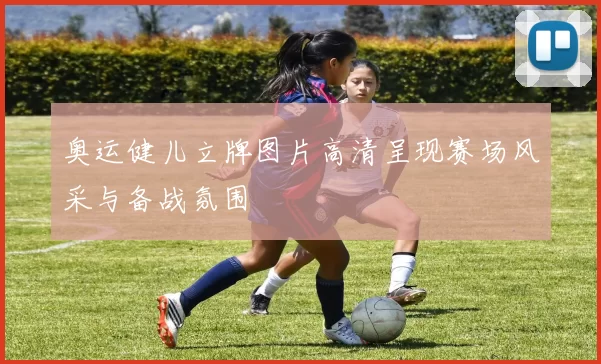 奥运健儿立牌图片高清呈现赛场风采与备战氛围