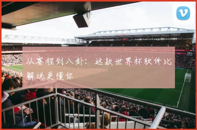 从赛程到八卦:这款世界杯软件比解说更懂你