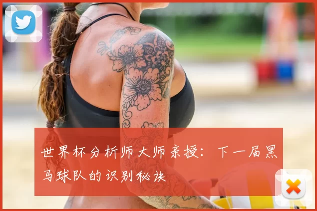 世界杯分析师大师亲授：下一届黑马球队的识别秘诀