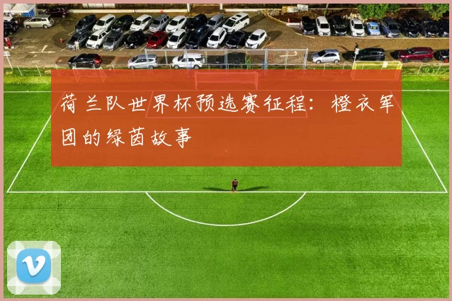 荷兰队世界杯预选赛征程：橙衣军团的绿茵故事