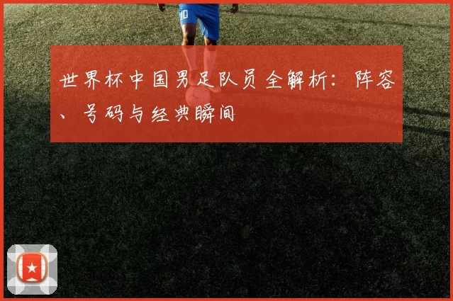世界杯中国男足队员全解析：阵容、号码与经典瞬间