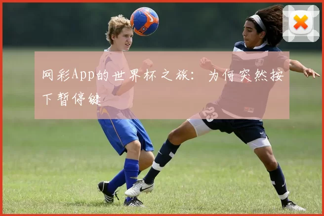 网彩App的世界杯之旅：为何突然按下暂停键