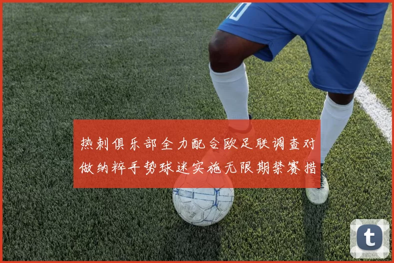 热刺俱乐部全力配合欧足联调查对做纳粹手势球迷实施无限期禁赛措施