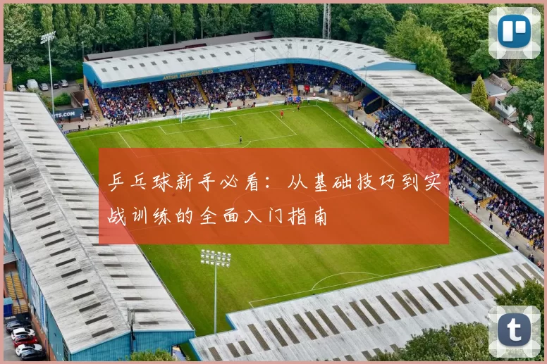乒乓球新手必看：从基础技巧到实战训练的全面入门指南