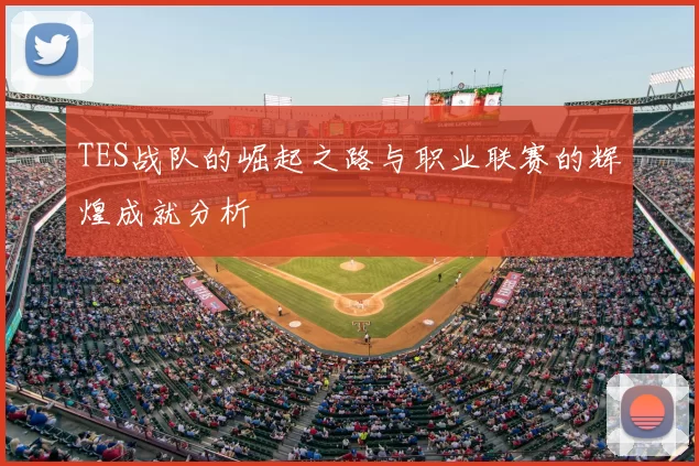 TES战队的崛起之路与职业联赛的辉煌成就分析