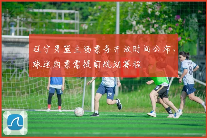 辽宁男篮主场票务开放时间公布,球迷购票需提前规划赛程