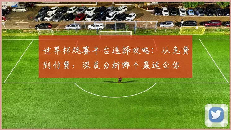 世界杯观赛平台选择攻略：从免费到付费，深度分析哪个最适合你